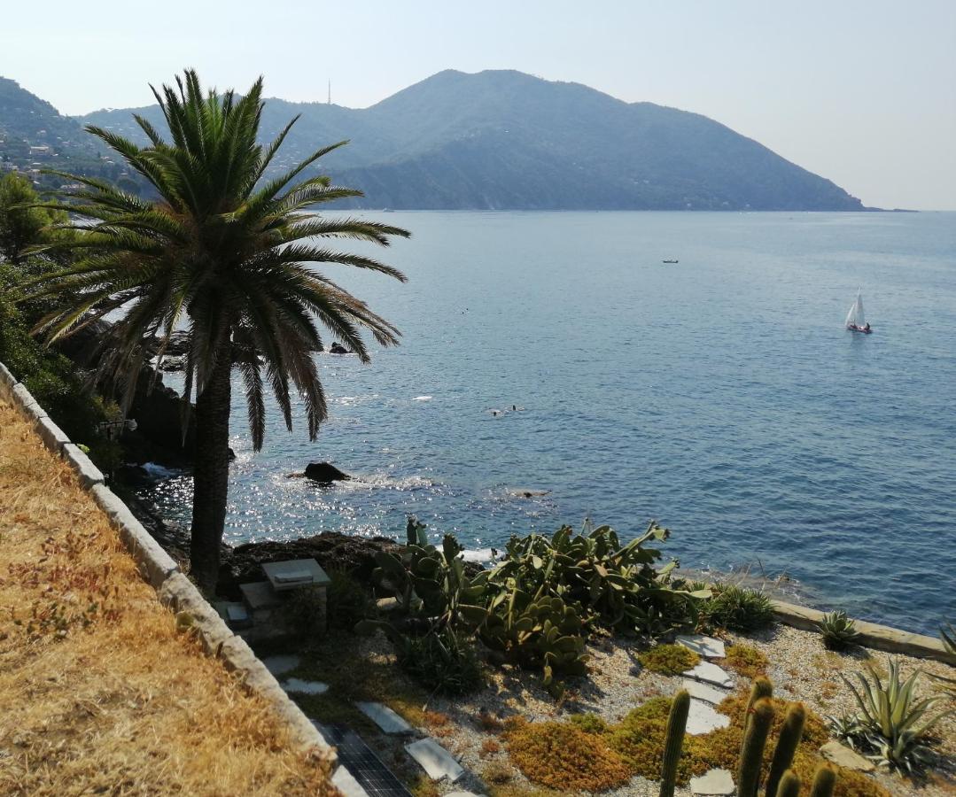 Il Grecale Apartment Recco Exterior foto
